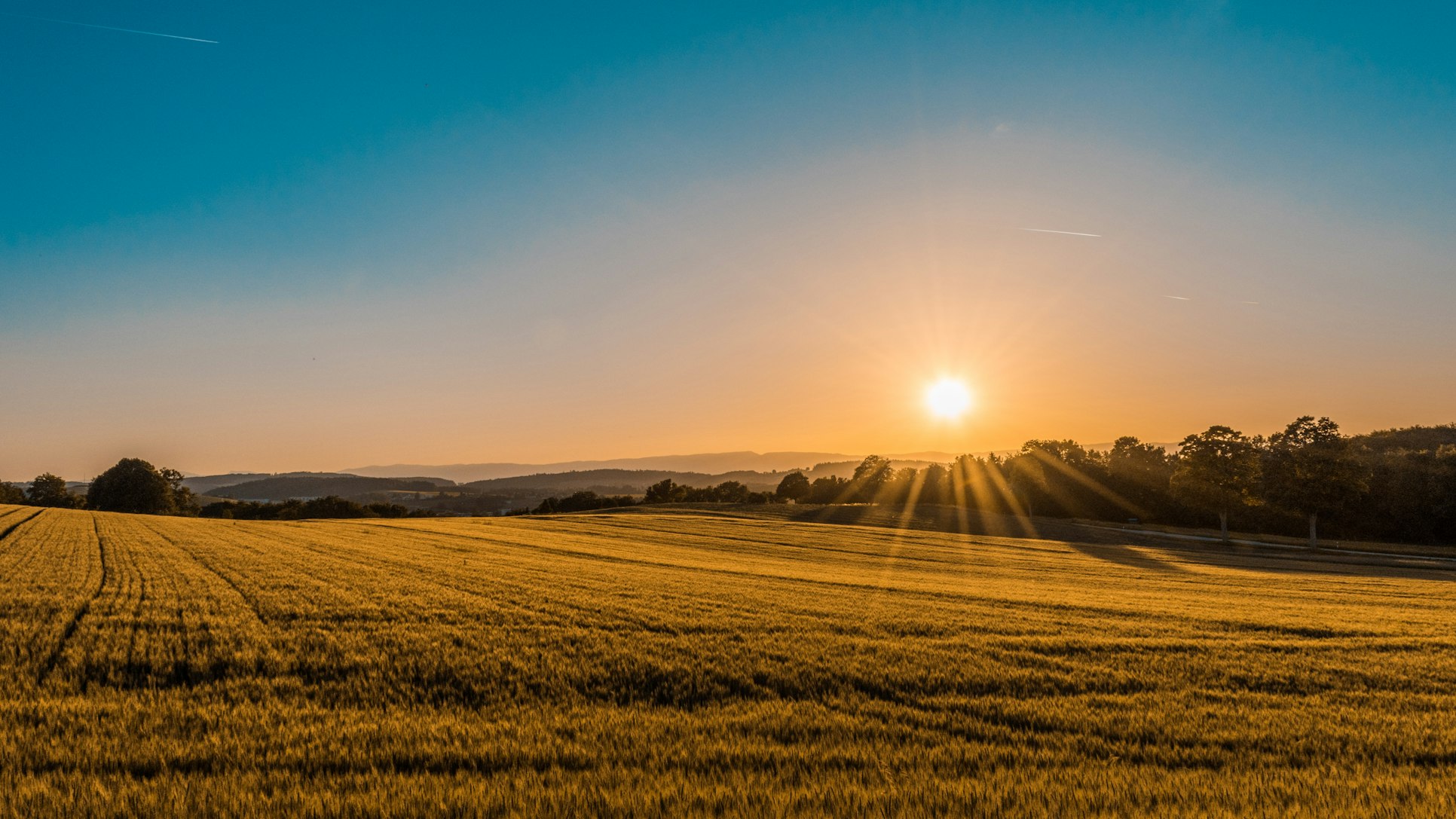 Rural landscape